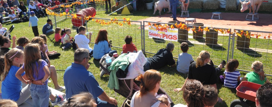 Long Island Fall Farm Festival