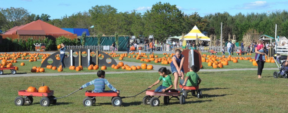 White post farms Fall Farm Festival